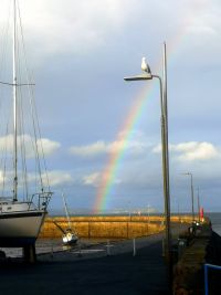 Rainbow over Musselburgh harbour