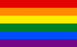 Six colour Pride Flag