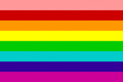 Original 1978 Pride Flag