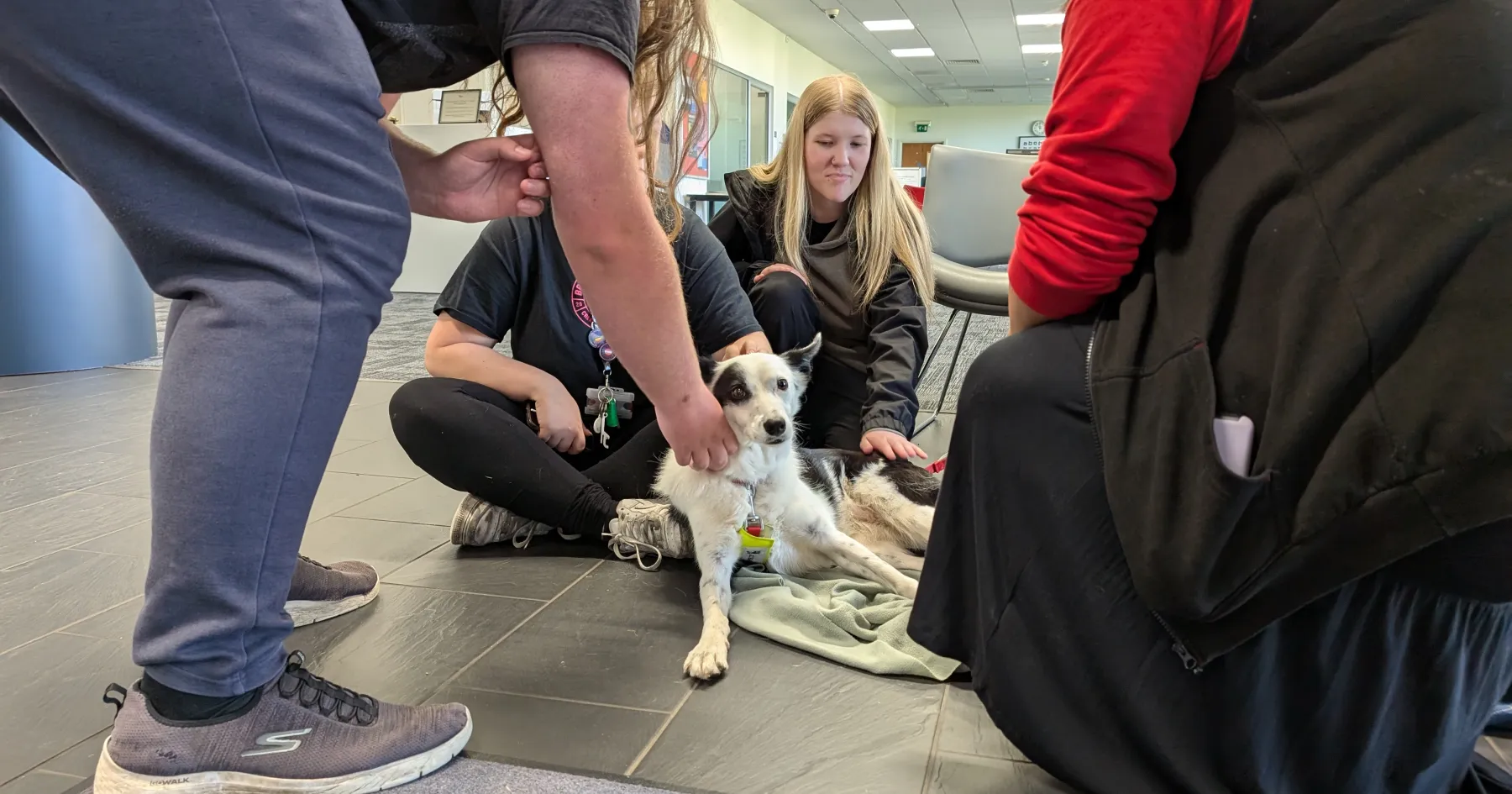 Therapets at Freshers' Week