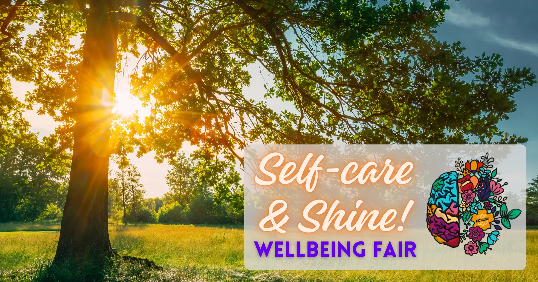 Self-Care and Shine Wellbeing Fair Web Banner